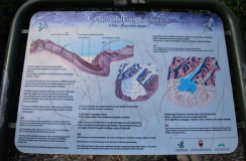 Origini del Lago di Garda